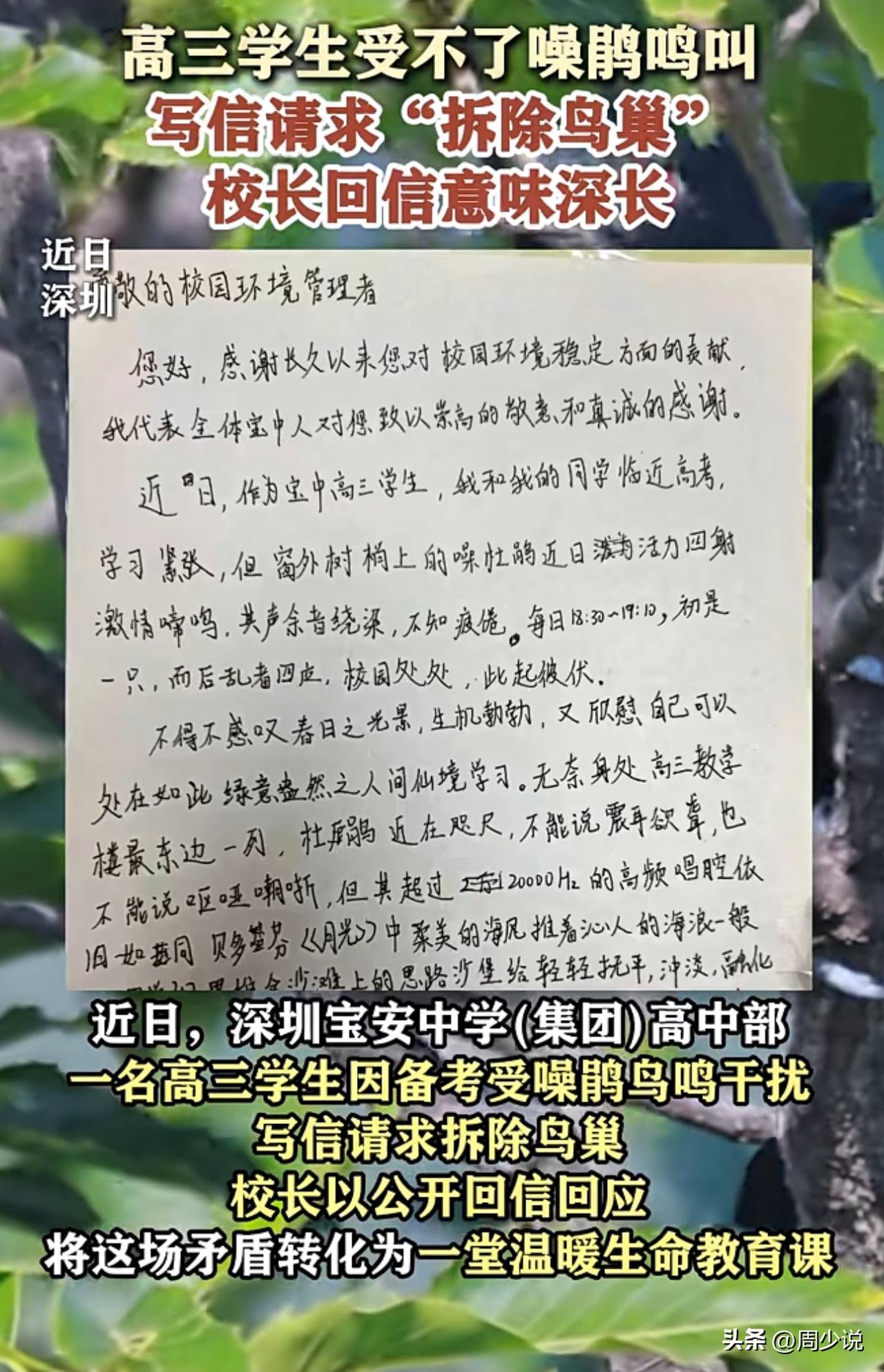 “这校长真有智慧！”高三学生为备考请求拆除鸟巢，只因受不了躁鹊鸣叫！校长回应：教