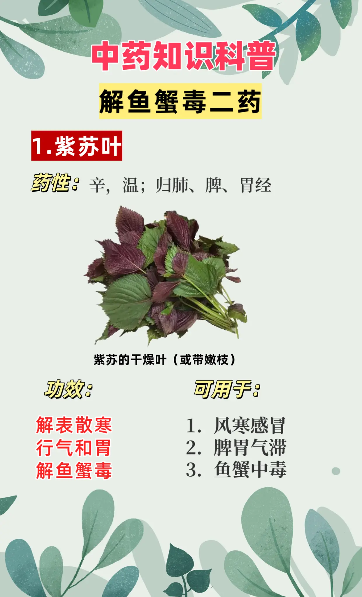 解鱼蟹毒二药；紫苏叶 生姜。