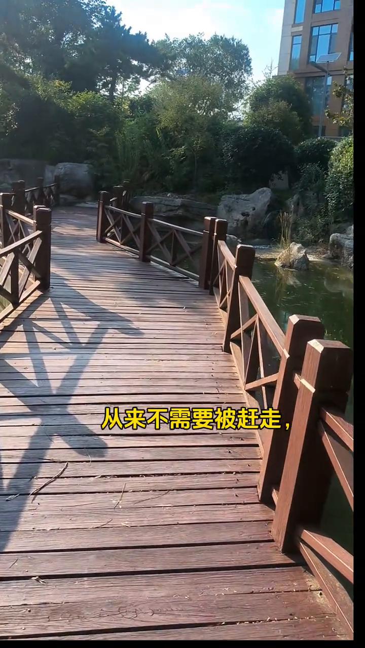 人生感悟语录，句句通透，越读越清醒。
·1.我们奔波这一生，说到底，不过是为了挣