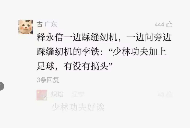 少林足球。。不能反驳。。。释永信所作所为性质十分恶劣少林寺住持释永信被查 ​​​