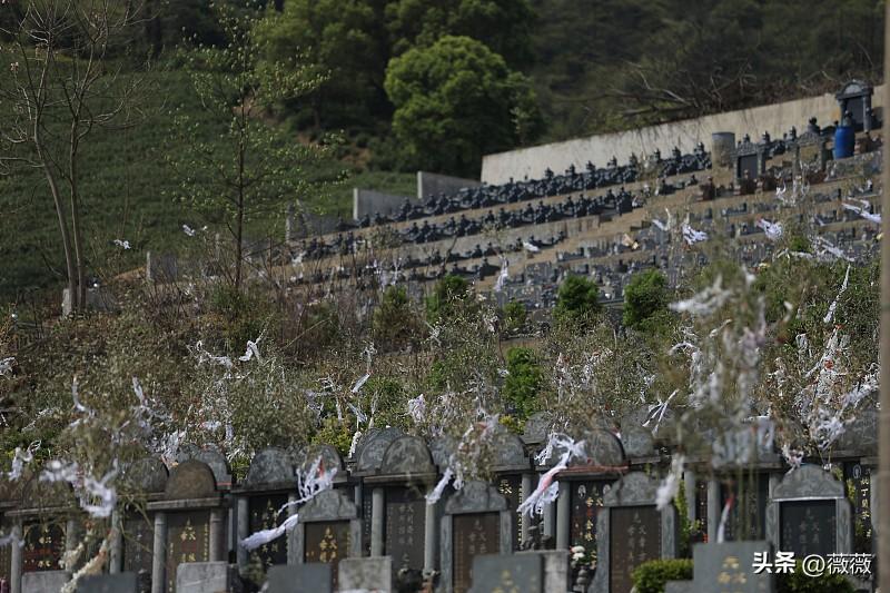 非常现实的一段话：
想通了，清明不回老家上坟了。不是工作忙没有假期，也不是不尊重