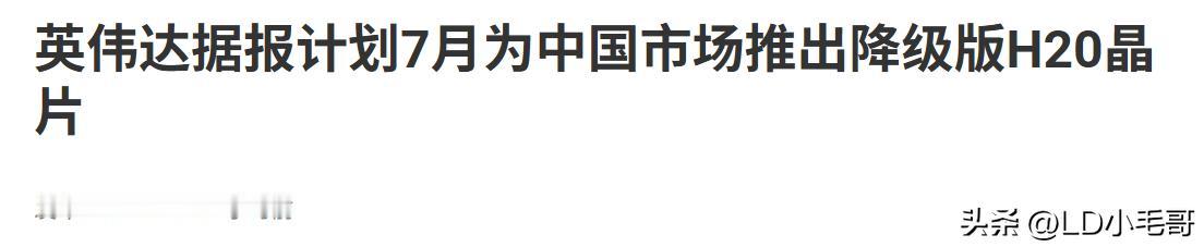 真的是欺负咱们芯片不行啊！英伟达竟然准备在七月份向咱们出口降级版的H20！

本