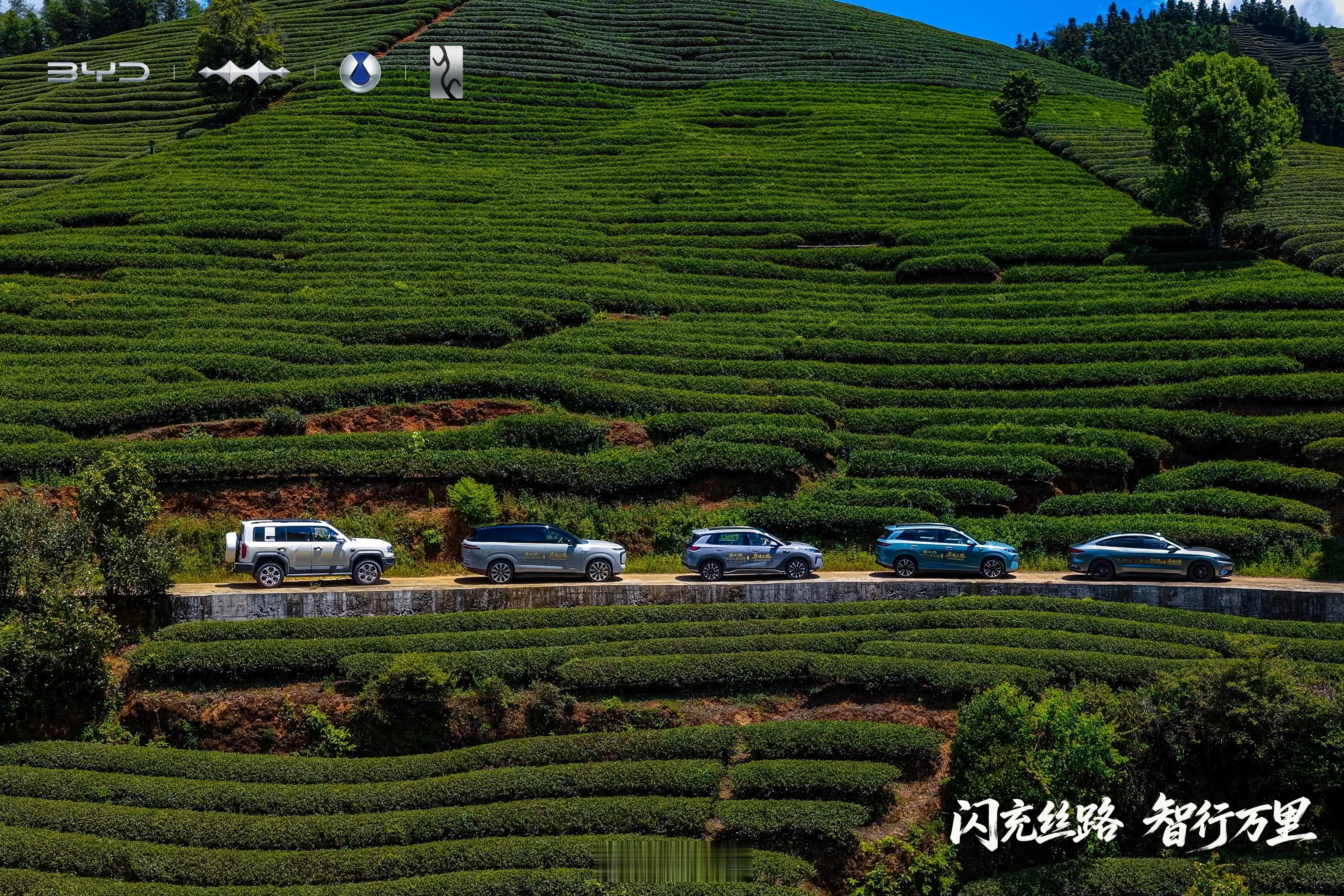 近期2026丝绸之路万里行·启迪之路征程行至中段，这场横跨山海、连通陆海的国家级