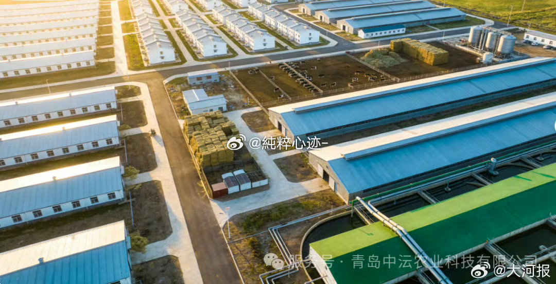 从前对青岛的印象只停留在旅游城市，看完产业报道刷新认知，畜牧、农副加工两条千亿产