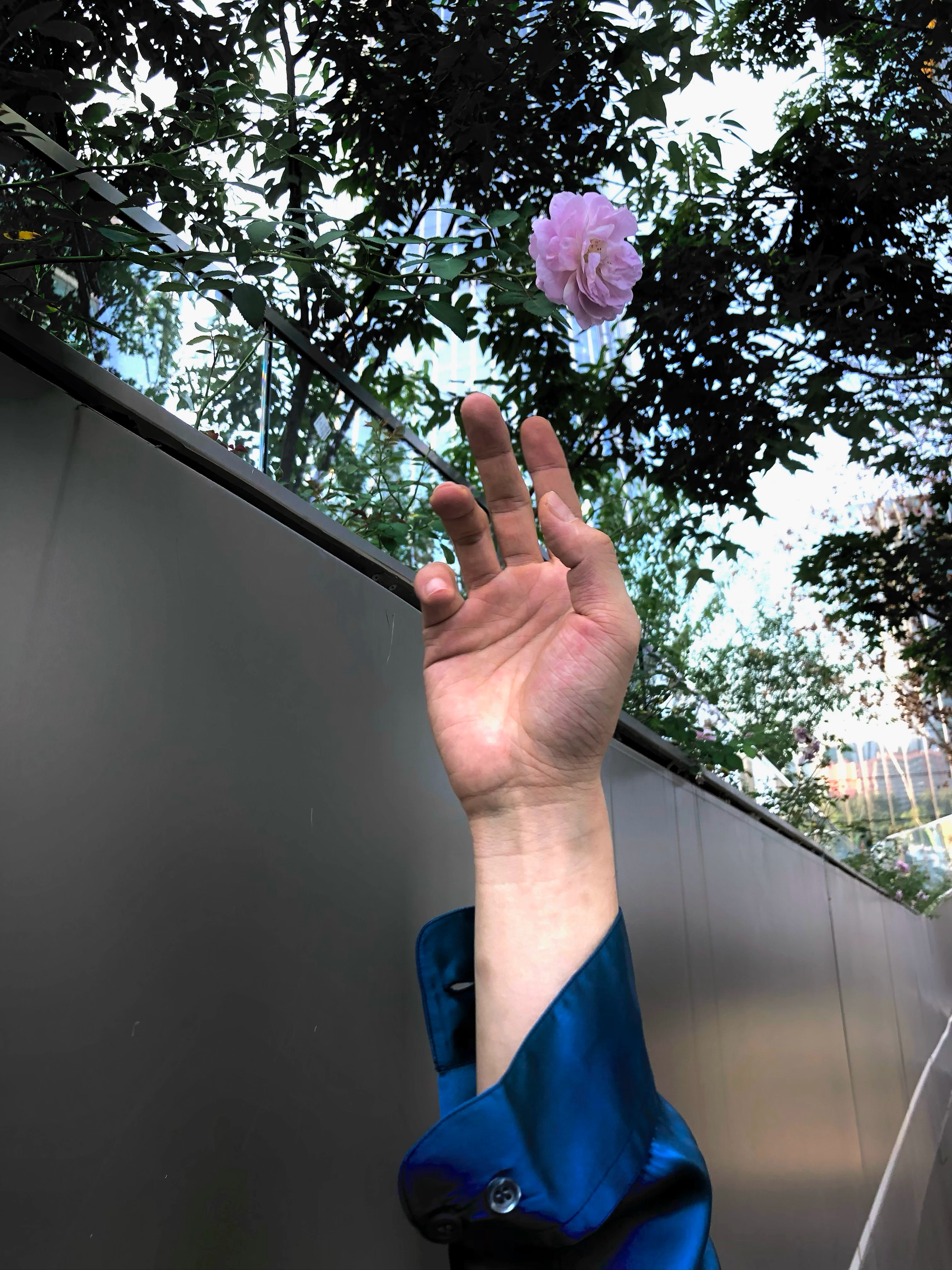 温俊又发了井柏然 谁懂温俊这组图的含金量！上班是“栾念本念”的西装杀，下班是“井