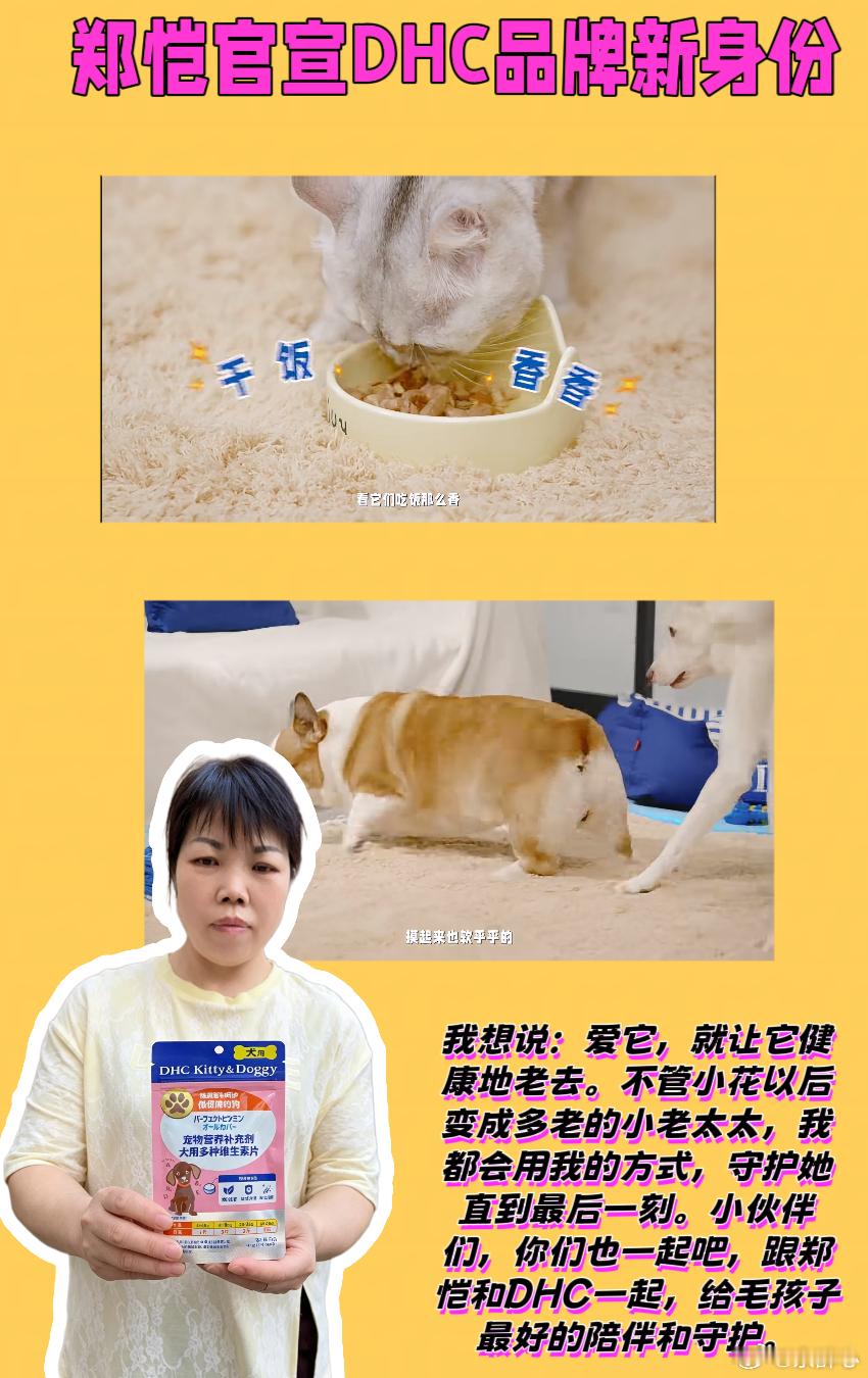 郑恺官宣DHC品牌新身份  💖姐妹们，我家小花是我养的第一只狗，也是我生命里最