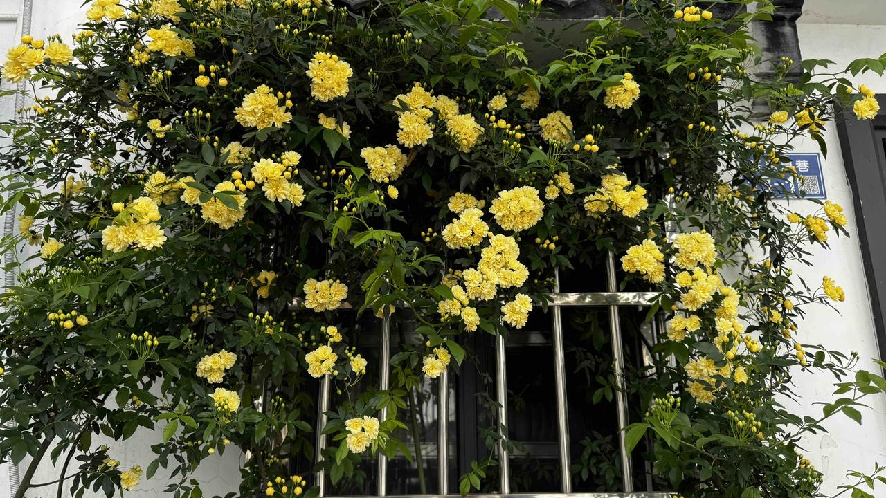 能分享你家乡的美景照吗小巷人家