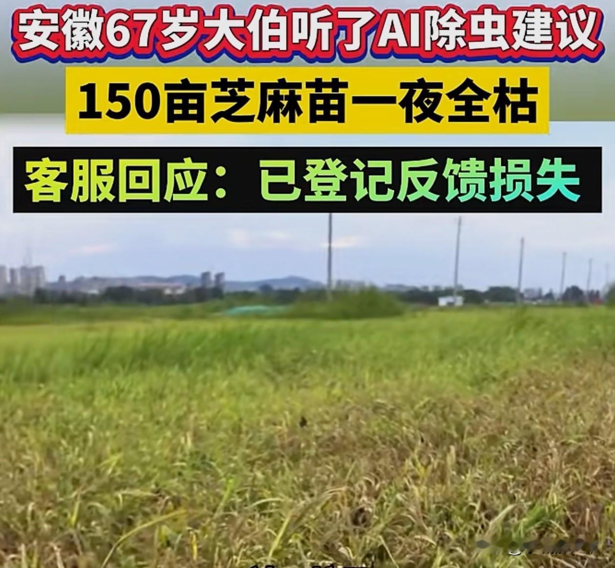 安徽滁州一位67岁农户吴大伯，按照AI生成的除草＋除虫方案进行喷洒农药，结果第二
