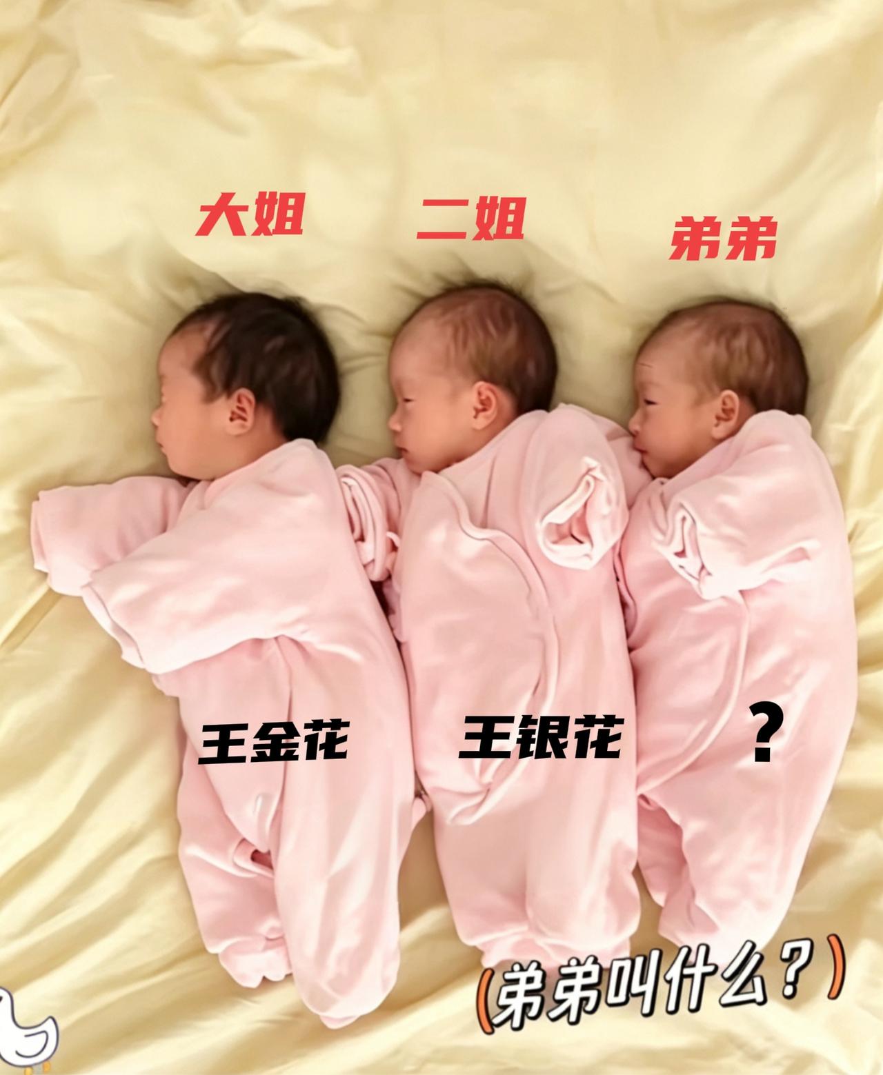 大姐叫王金花，二姐叫王银花，弟弟的名字太难取了！请高手们帮忙取个名！