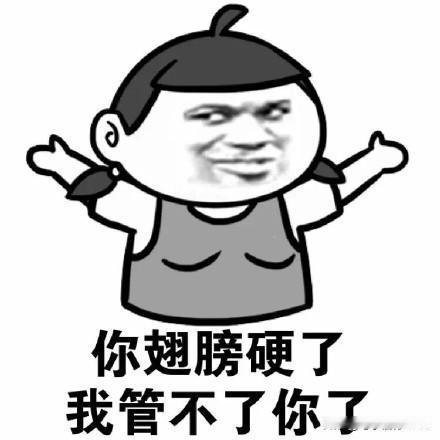 美驻联合国负责特别政治事务的副代表詹妮弗·洛塞塔大使：船只正在朝鲜港口装载产于朝