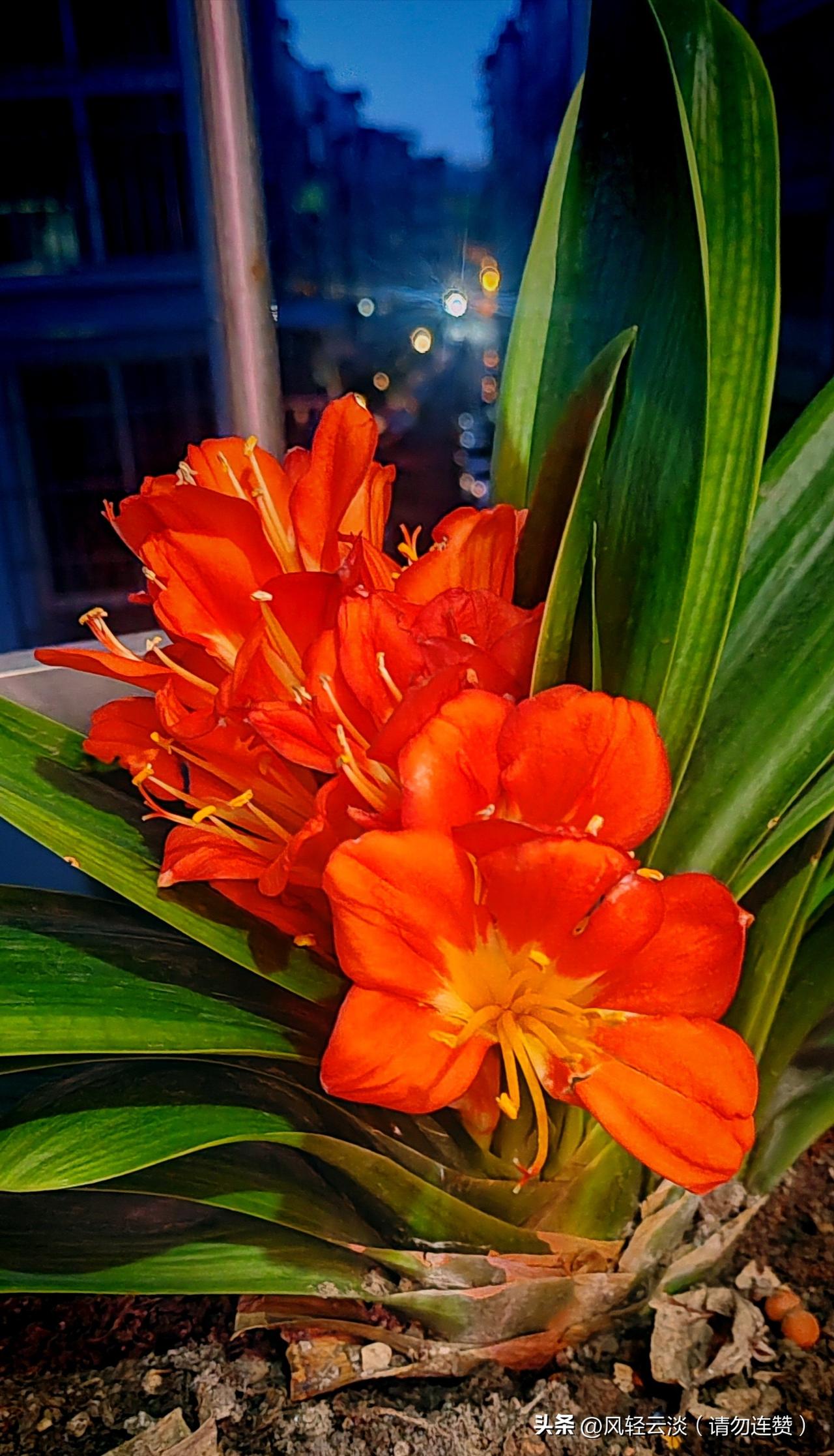  今日赴亲友之约，意外重逢几十年未见的小姐妹，岁月匆匆，情谊依旧，满心欢喜。