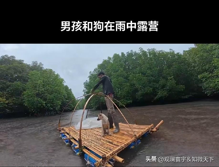 这环境挺吓人的，不过挺宠狗的，不错[赞]
