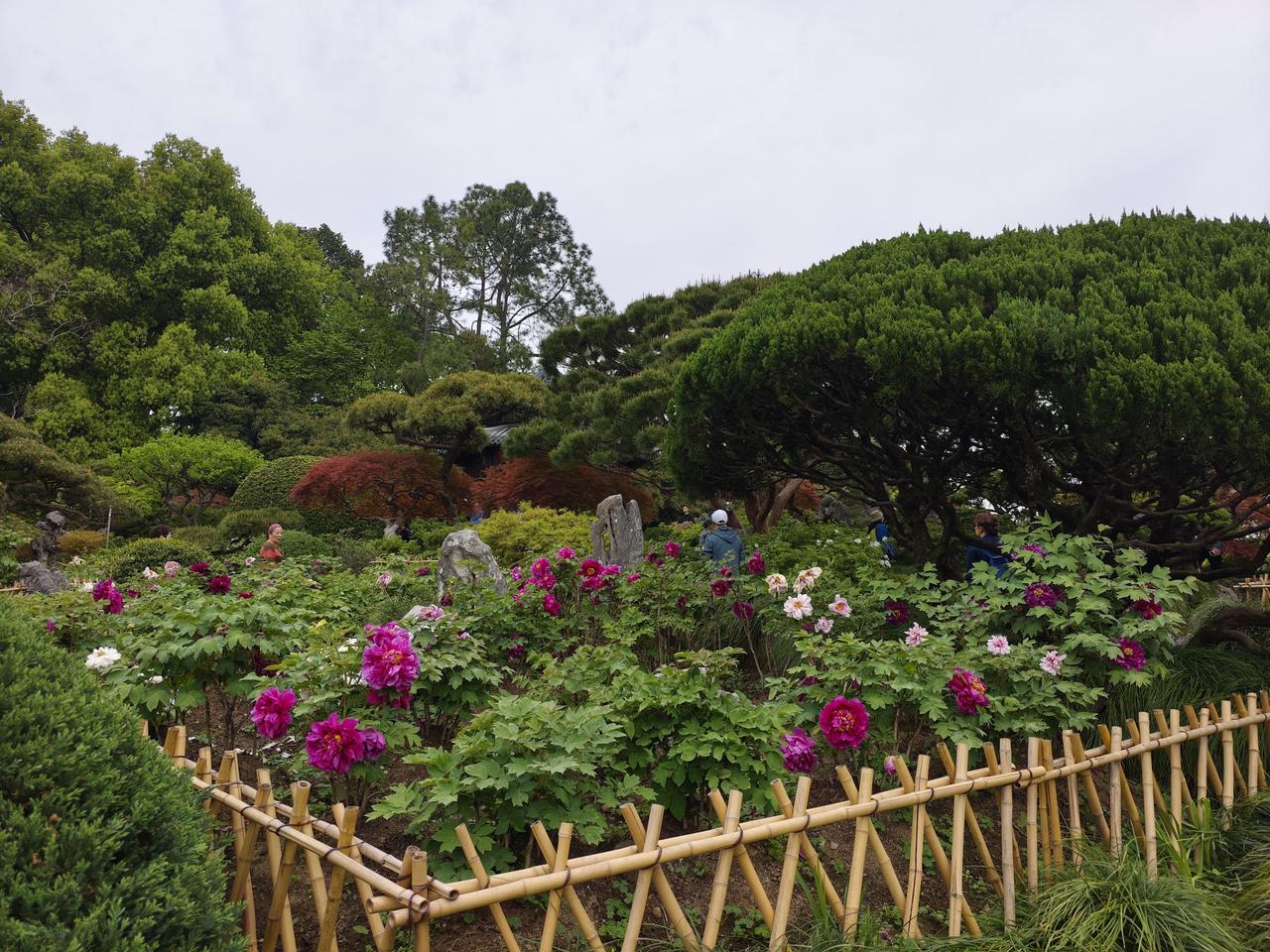 一些年轻演员演技不够扎实，表情单一，台词功底薄弱。在表演时无法准确传达角色的情感