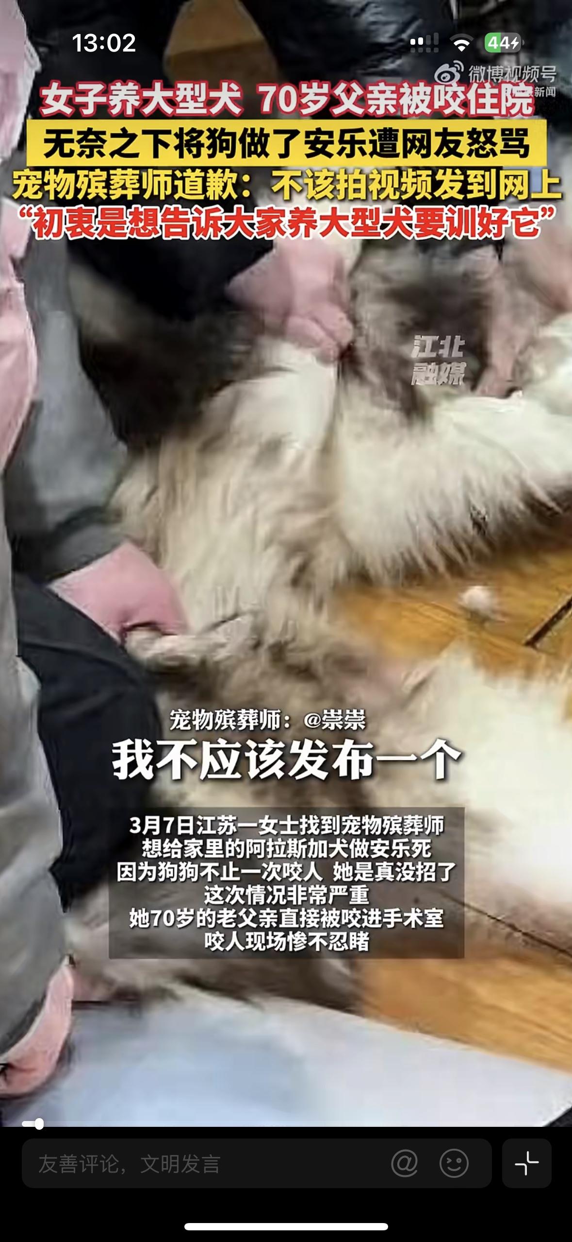 太让人揪心了！江苏一位女士把自己养了7年的狗狗阿拉斯加送去安乐了，它在近8个月里