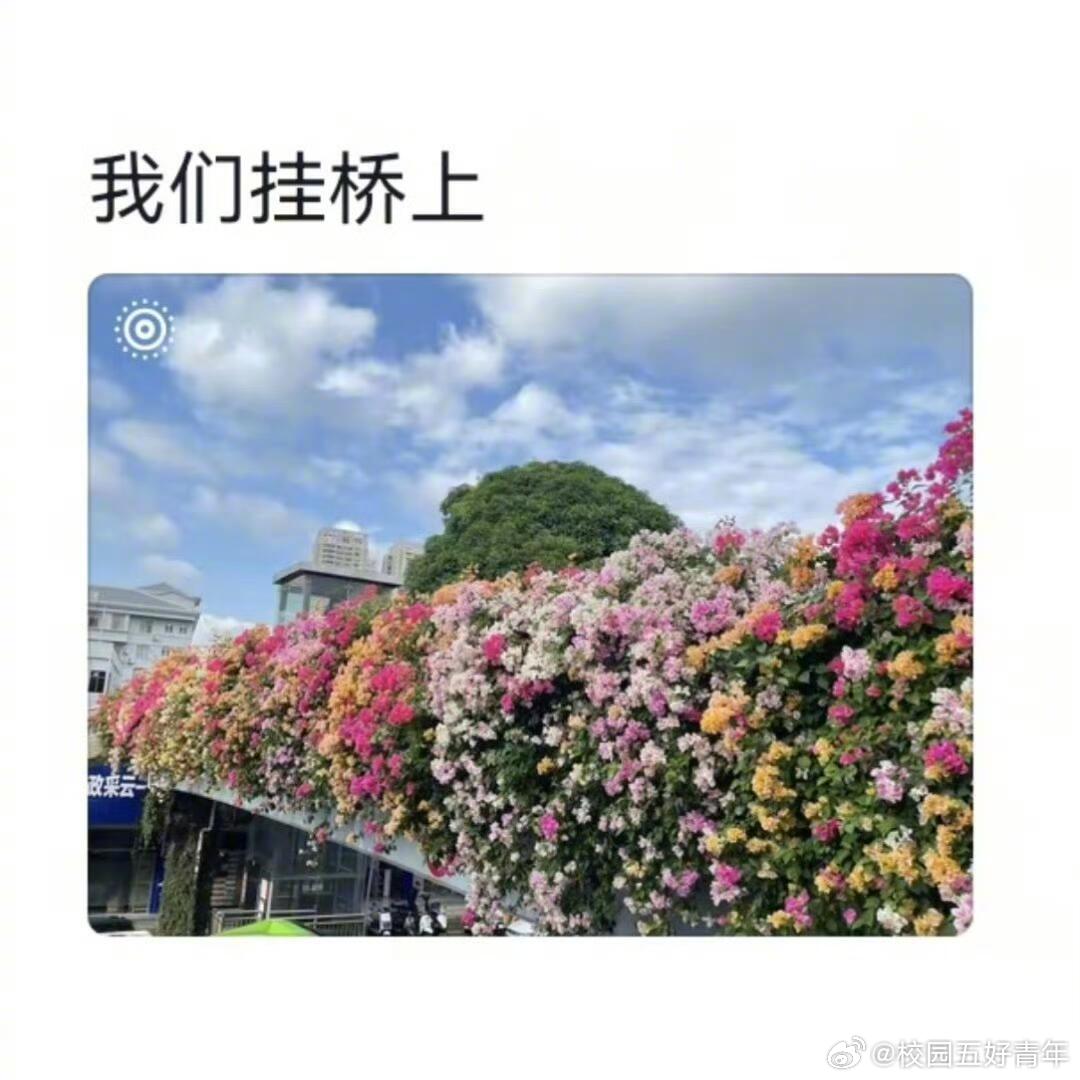 南方绿化带是要考研吗