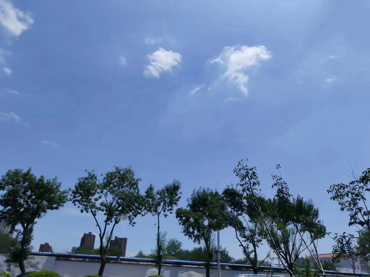 先生的大学同学小迈，要组织聚会，发来一份倡议书。
洋洋洒洒几百字，情真意切，不乏