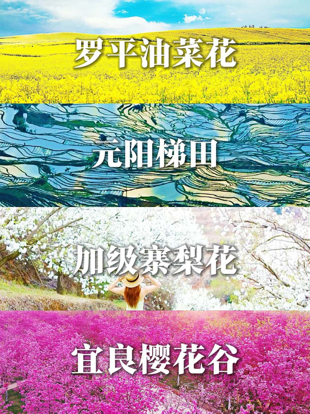 3月花季限定🌼滇东南小众赏花7天纯玩团