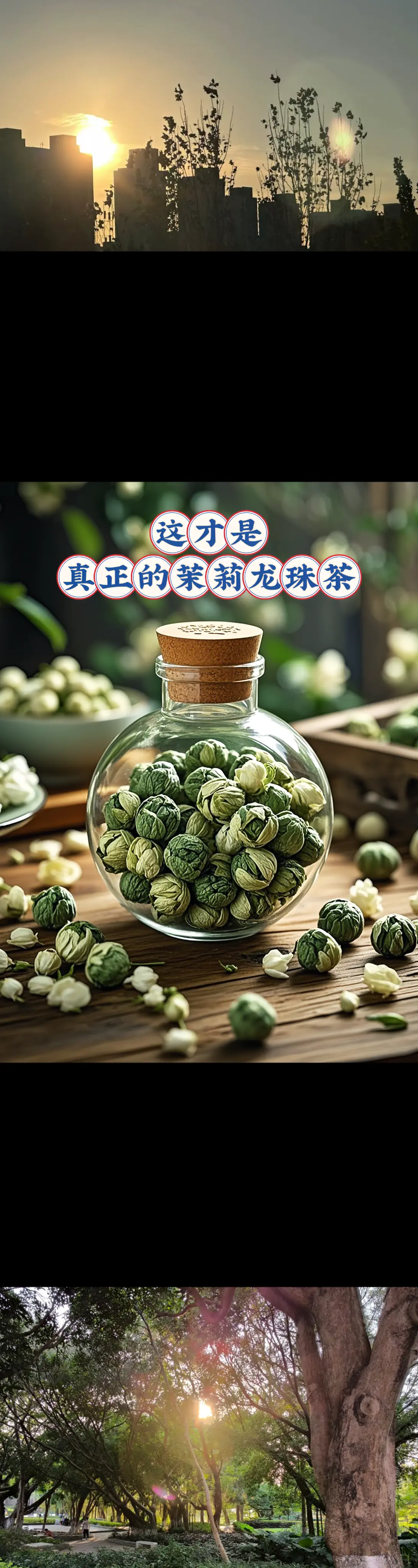 这个茉莉龙珠茶宛如一颗璀璨而独特的星辰，它将清新的茉莉与鲜嫩的茶芽精妙...