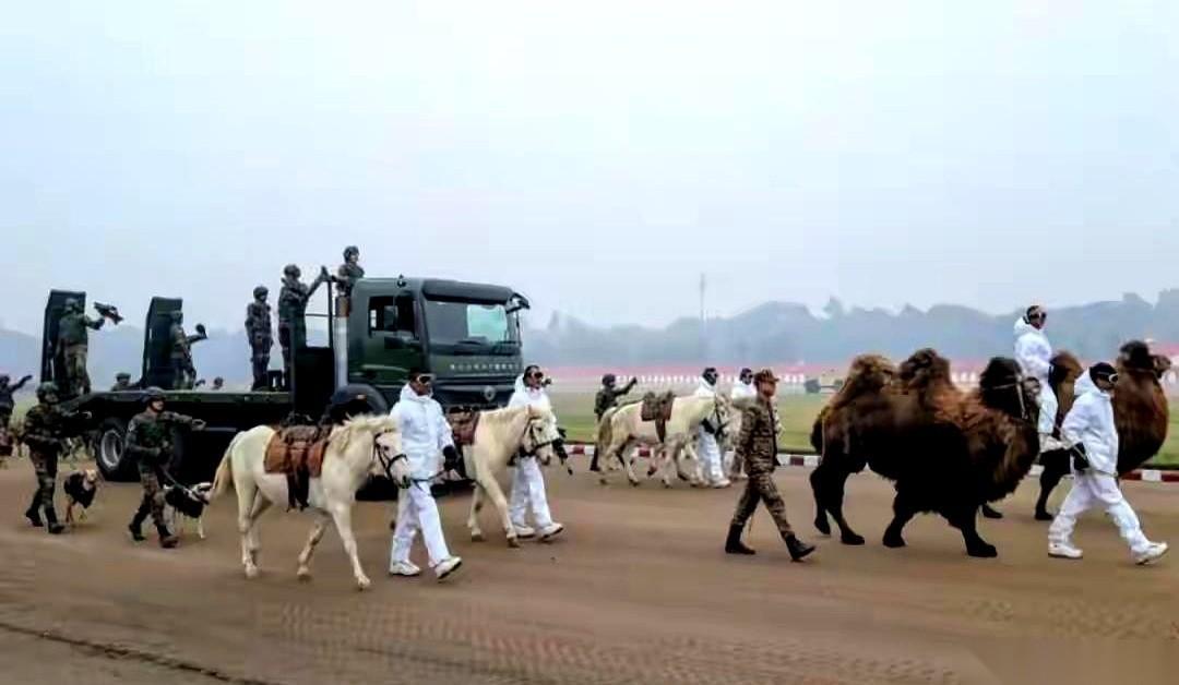 印度这场阅兵，刚开场就感觉不对劲。
一队摩托车，上面叠着七层人塔，歪歪扭扭地开了