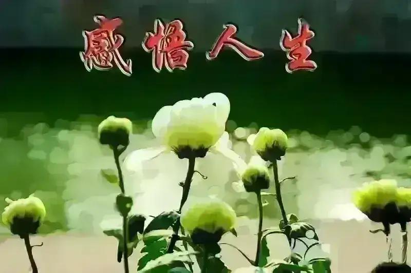 隧道尽头一定有光，哪怕此刻看不到出口
低谷里总有光 低谷尽头是曙光