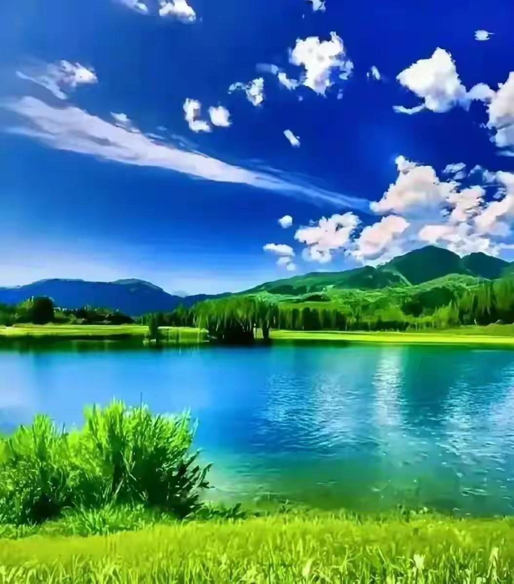 打油诗15首

一
成熟非无泪，笑对不言中
岁月磨棱角，心宽路自通

二
取悦非