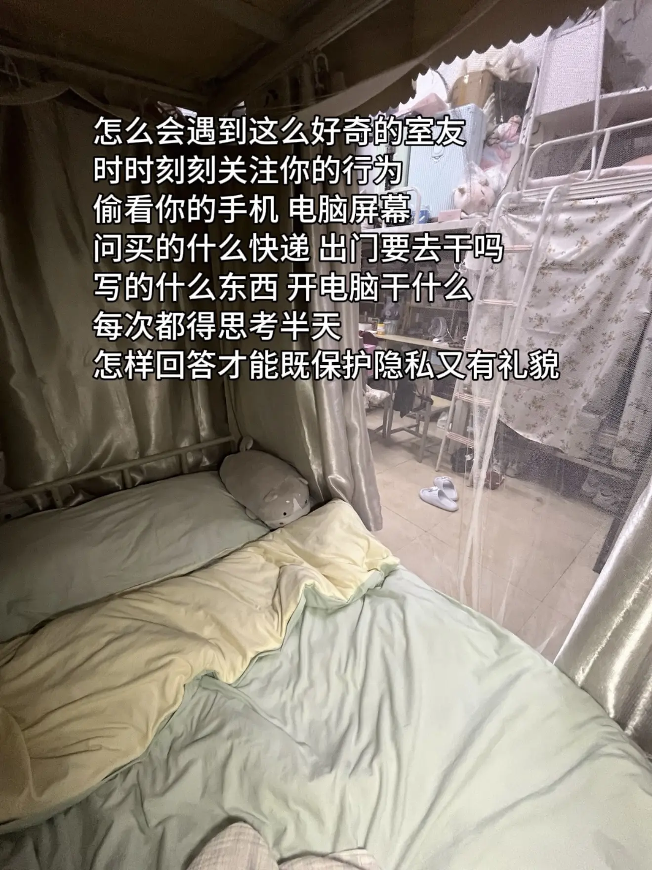 怎么会遇到这么好奇的室友。