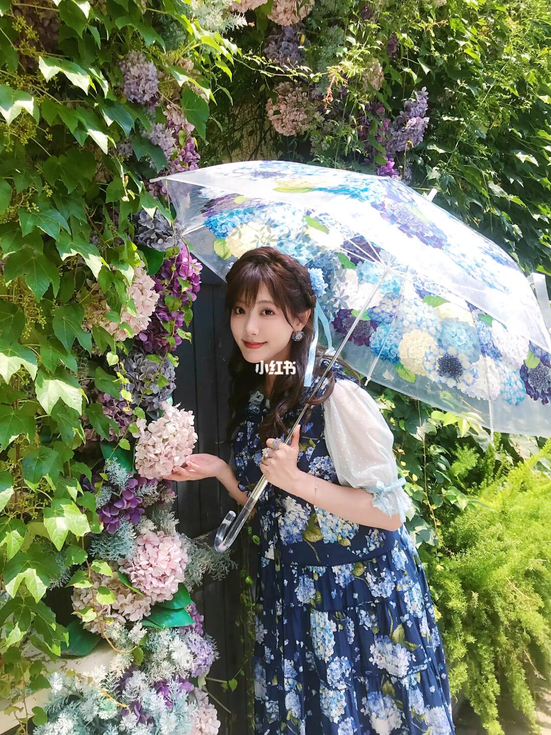 初夏的紫阳花🍃