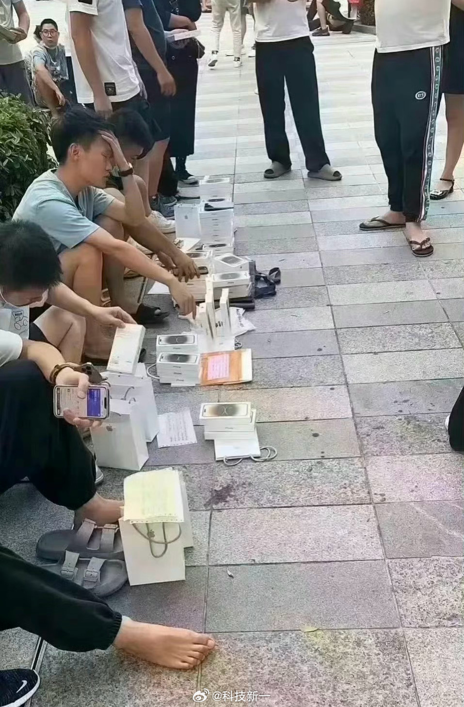 今年的iPhone Duo单价高，黄牛压货成本会很高。只要大家第一天都不买黄牛的