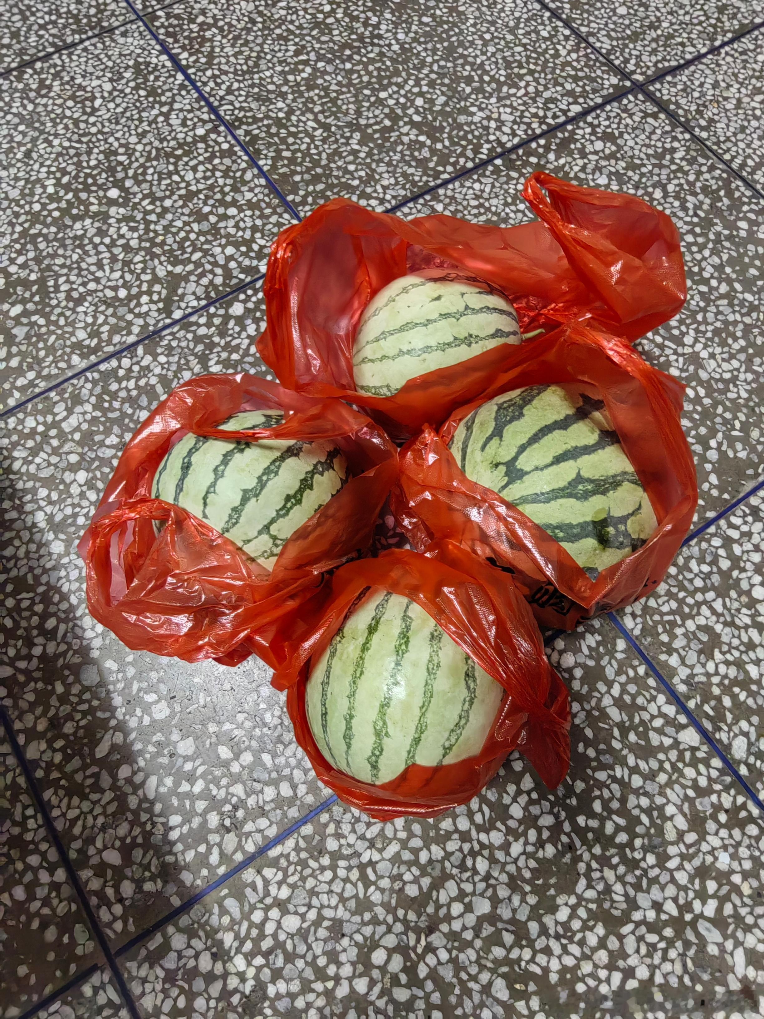 白海豚 没囤东西就来了台风中心现在在浙江那边登陆，越往内陆走台风本身会慢慢变弱消