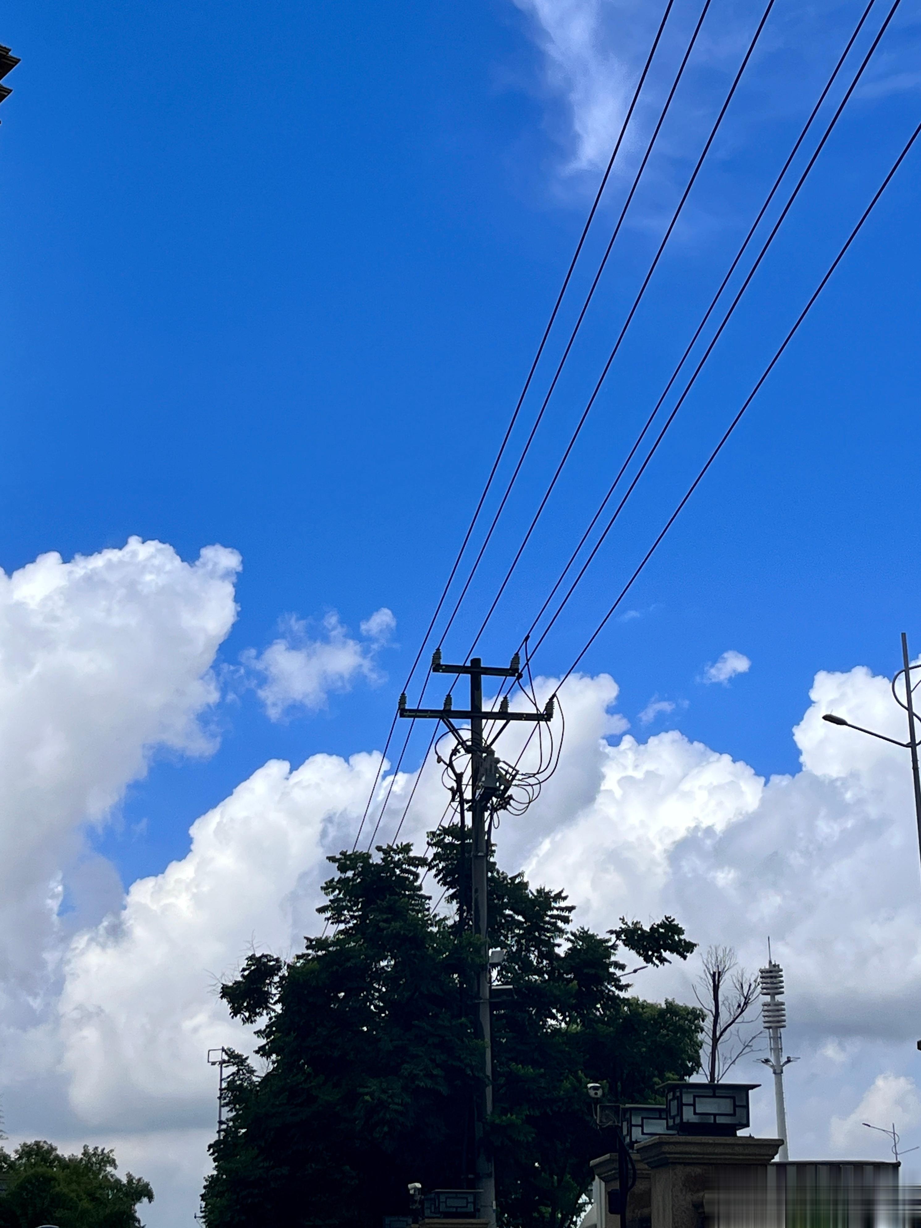 在楼上看到天气很阴想着就不用雨伞遮阳了，下楼电梯门开的一瞬间大雨[疑问]打了个电