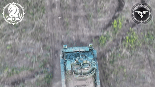 阿夫迪夫卡钢雨！乌军装备了可编程空爆弹？

有认为乌军发布的这段视频，显示美制M