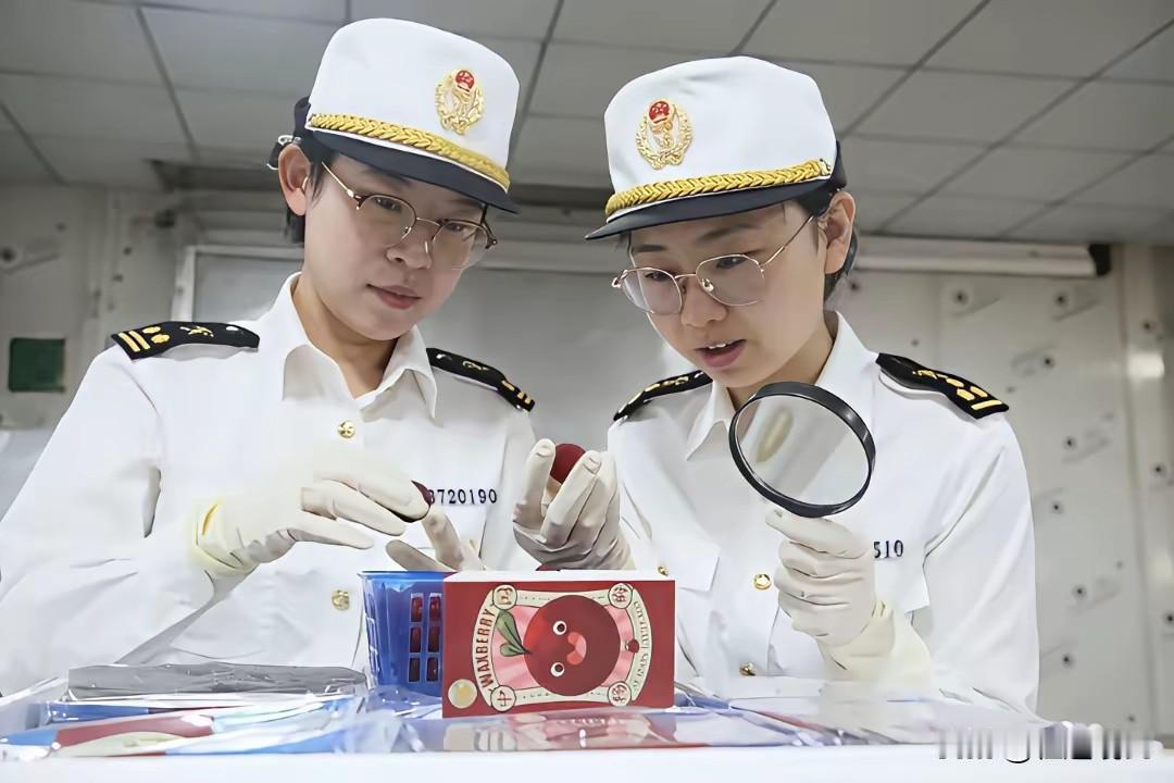 这是漳州海关对出口荷兰的杨梅进行现场检验，严格把关，严格品控，所以真的不要一出问