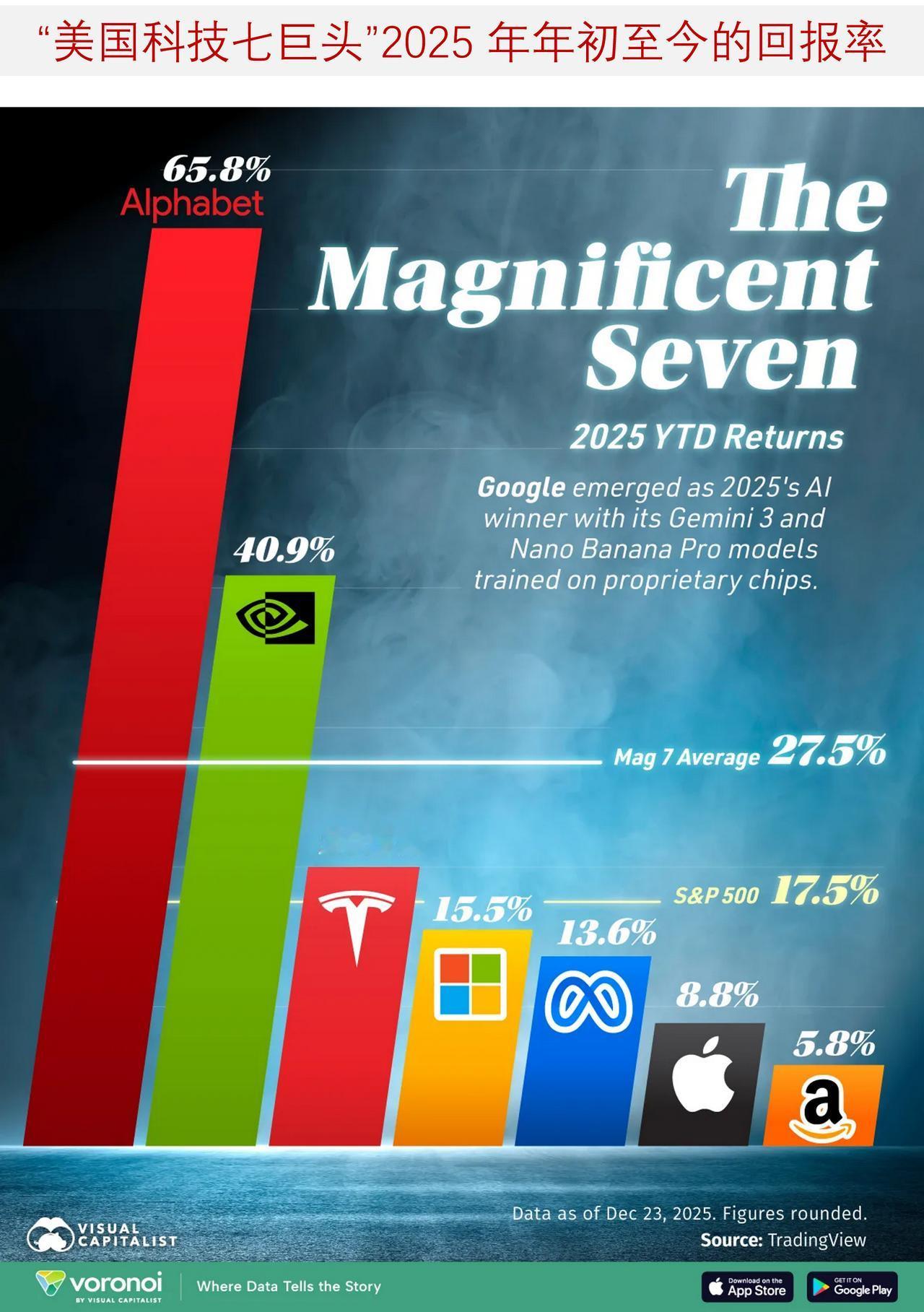 2025 年‘美国科技七巨头’股票的业绩怎样？

2025 年，“美国科技七巨头