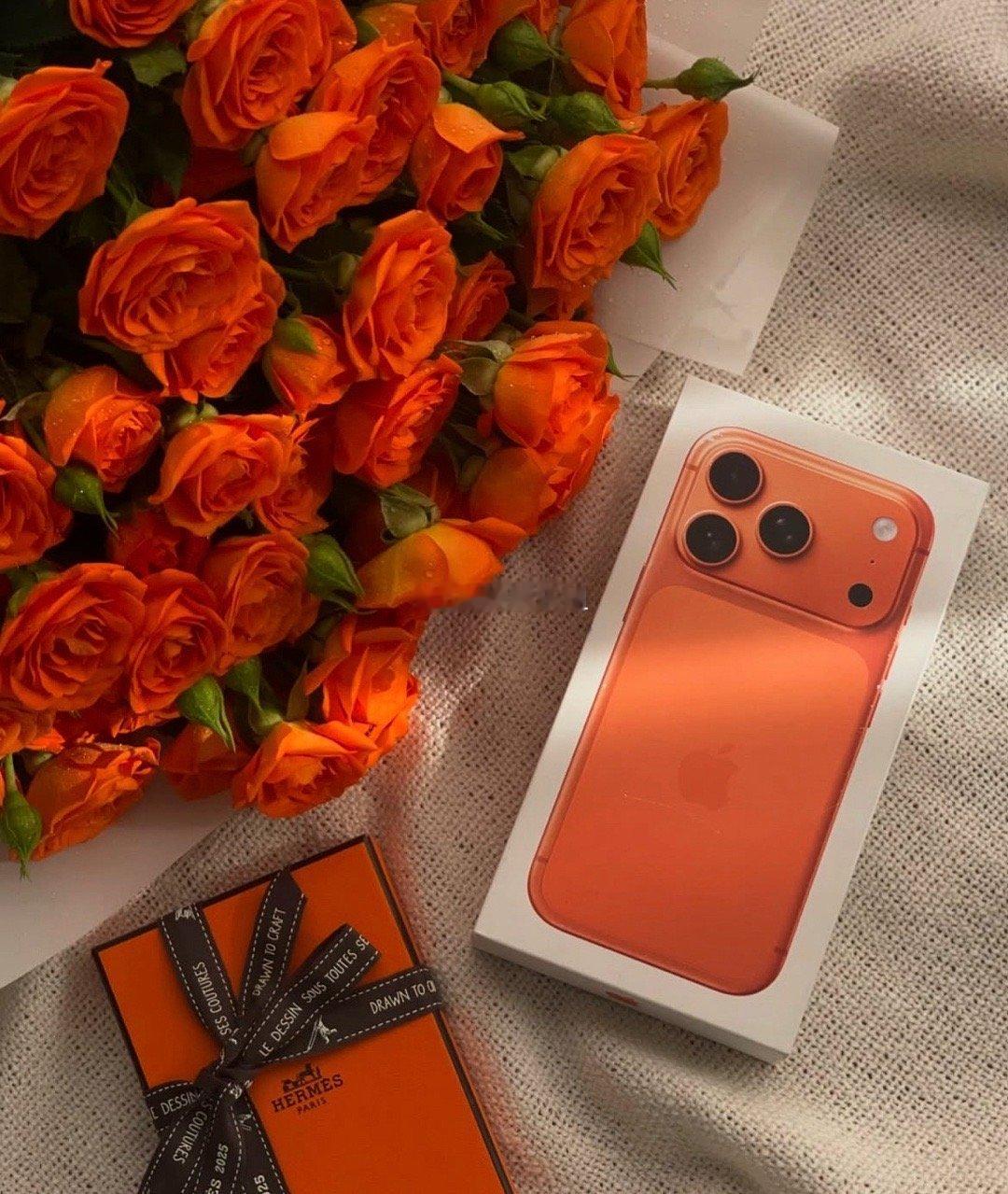 手机壳爱马仕狂卖36亿其实这也是经济下行期“轻奢平替”的小心思，一只手机壳，实现