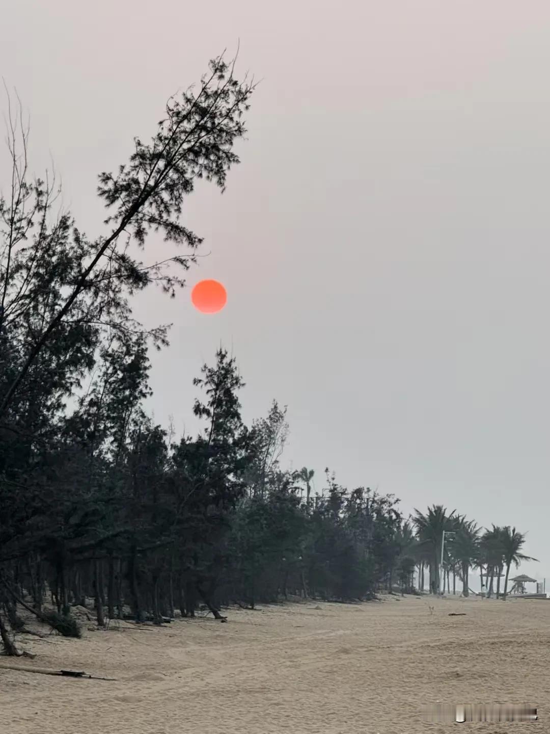 昨天晚上我媳妇因为孩子学习效率问题，又在家庭里干了一账，弄的孩子抹眼泪，我闹心。