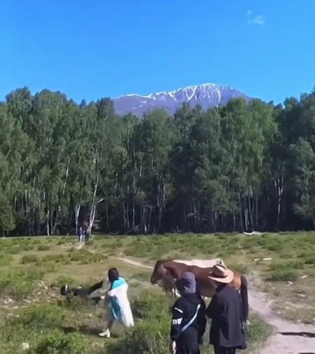 一名游客阿姨无视所有人提醒，明知马匹性情暴躁、存在危险，依旧执意上前伸手抚摸，结