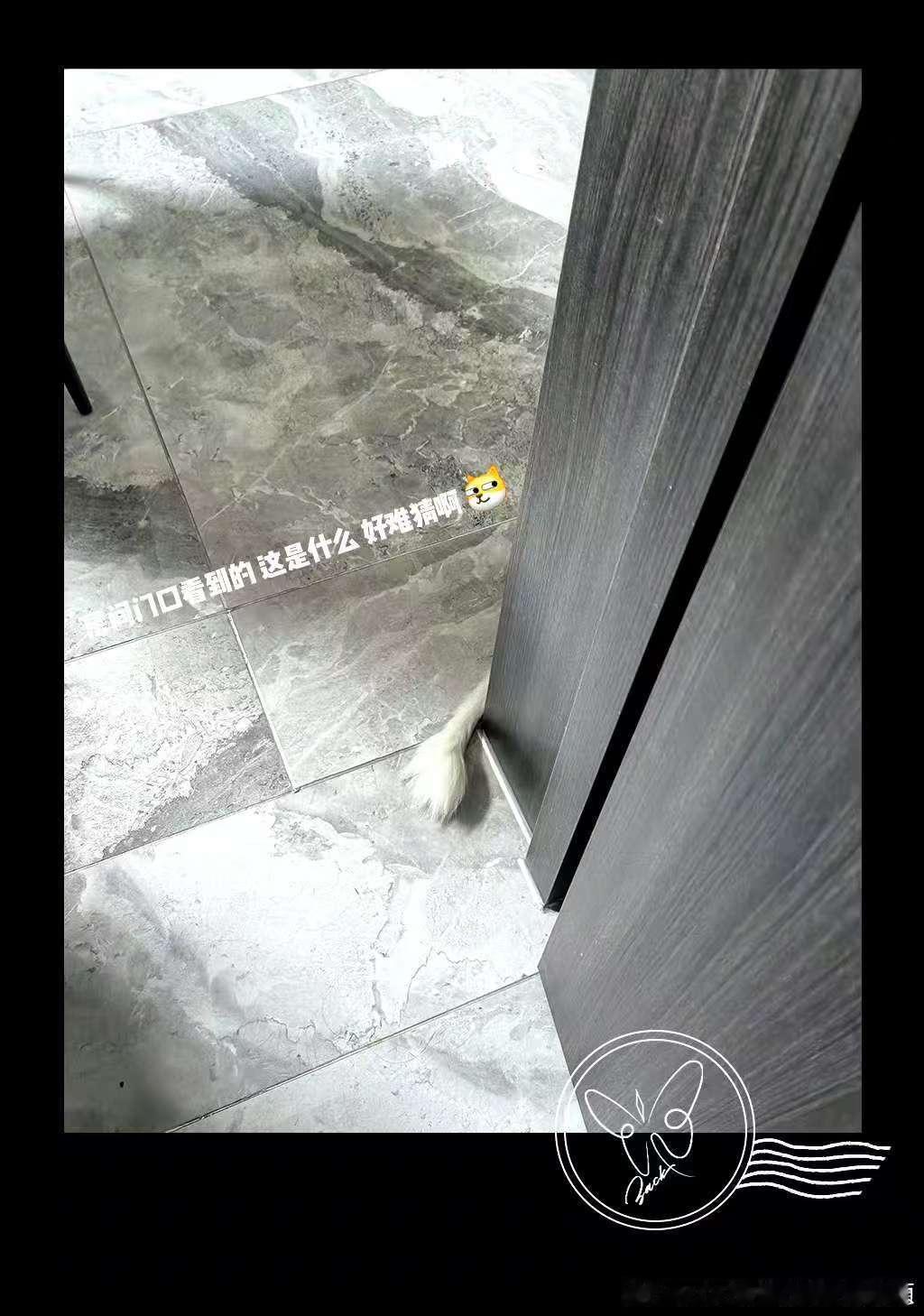 张泽禹背后的故事  原以为他晒出的美食照片只是日常馋人，后来才明白，那是他在忙碌
