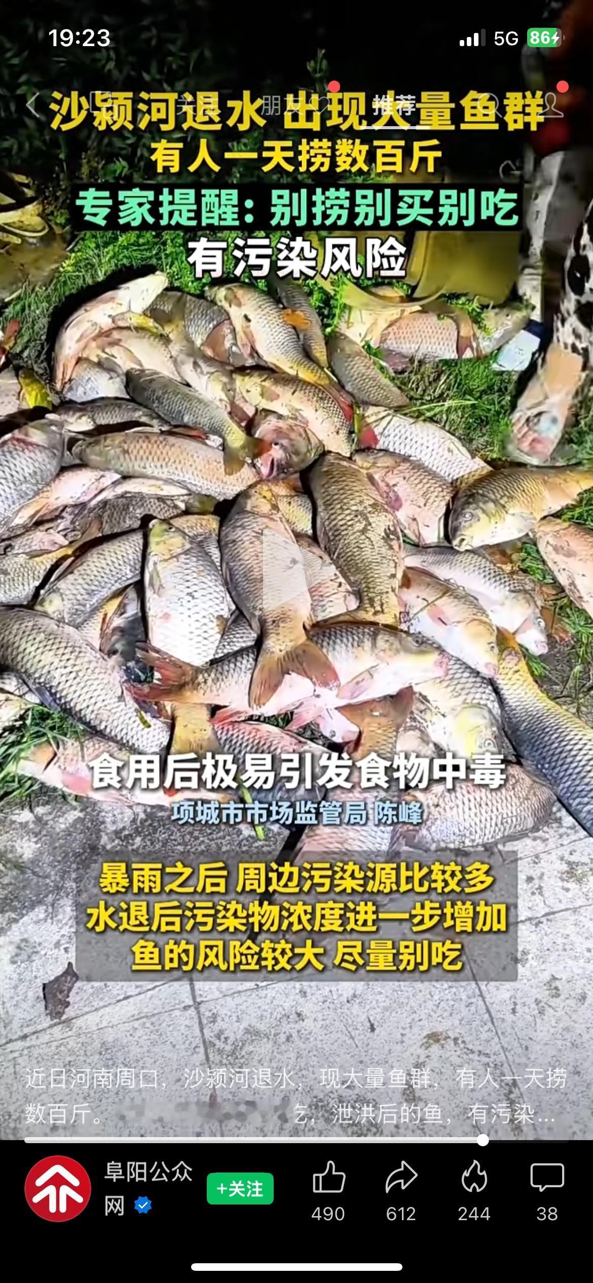 沙颍河退水涌出大量鱼群，官方提醒：别捞别买别吃
河水退去冒出大批鱼群，不少人连夜