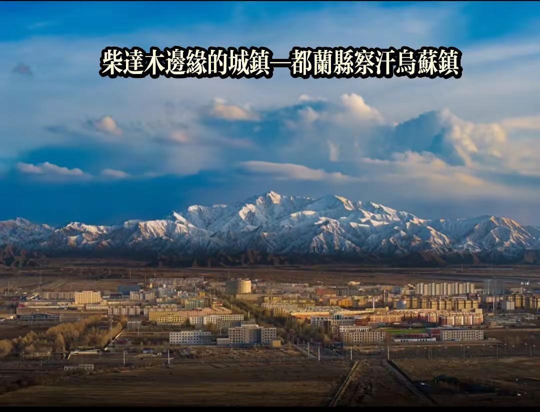 柴达木盆地都兰县生命树