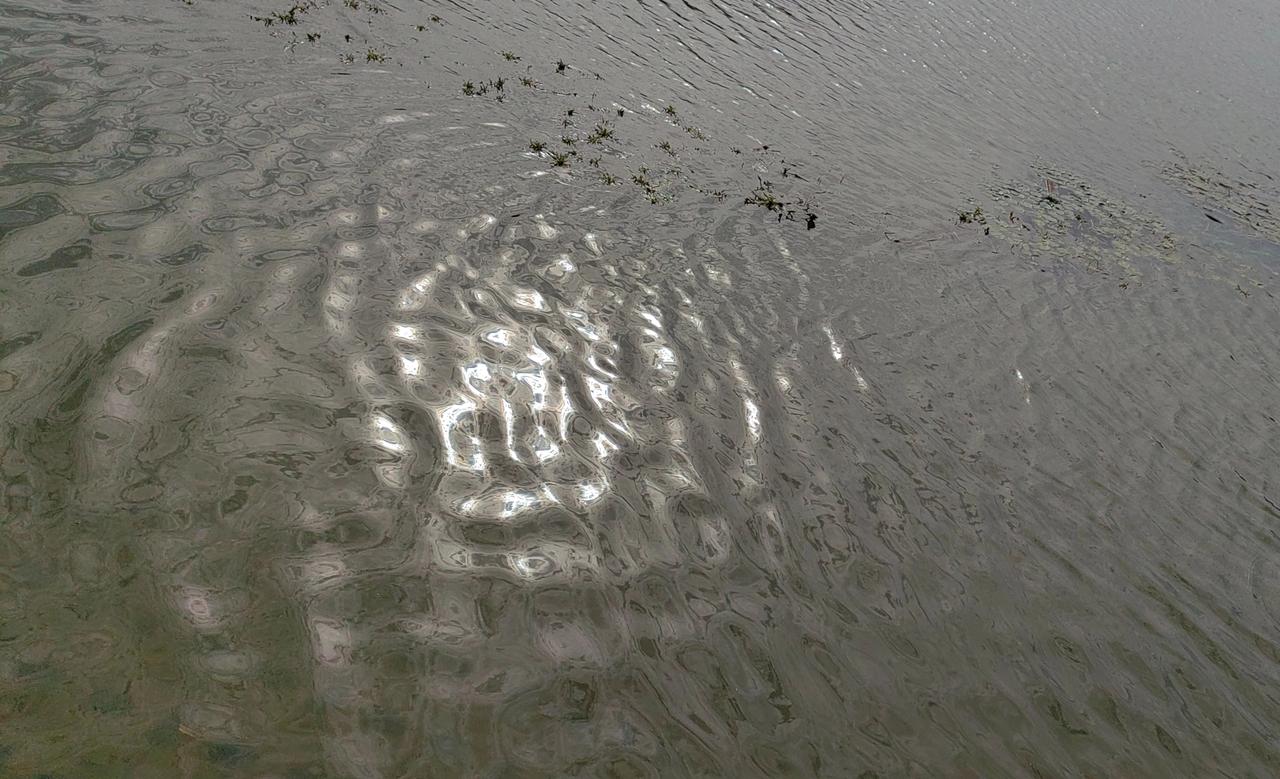 坏事可以变好事，高市早苗不狂跳，“尾巴”就露不出来。
“台湾有事就是日本有事”？