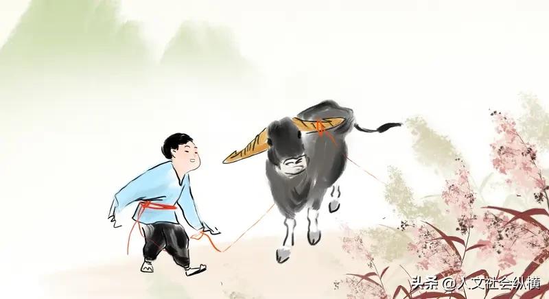 用AI制作一个牛背唐诗的视频，然后循环播放给牛看，牛会有什么反应？