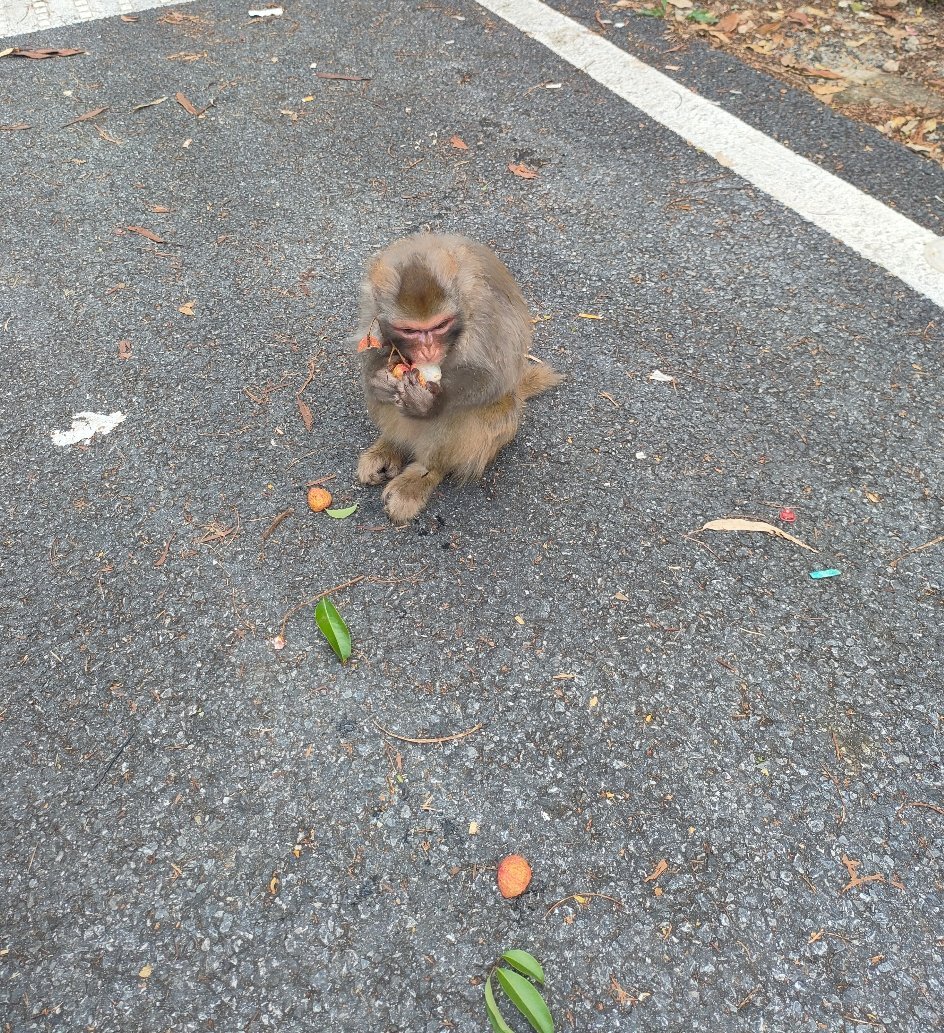 晚安好梦，生活的温柔，藏在细碎的烟火里，不必光芒万丈，但始终温暖有光。 