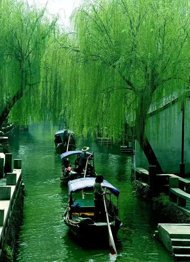 【原创】七律·江南春雨
                            