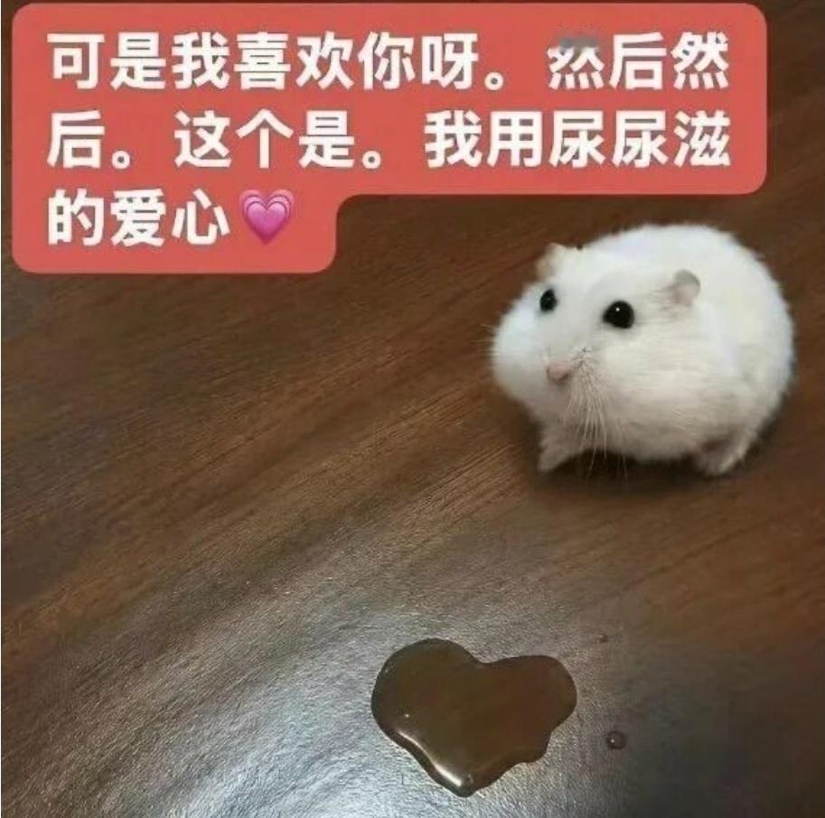 to：hyq所有入 