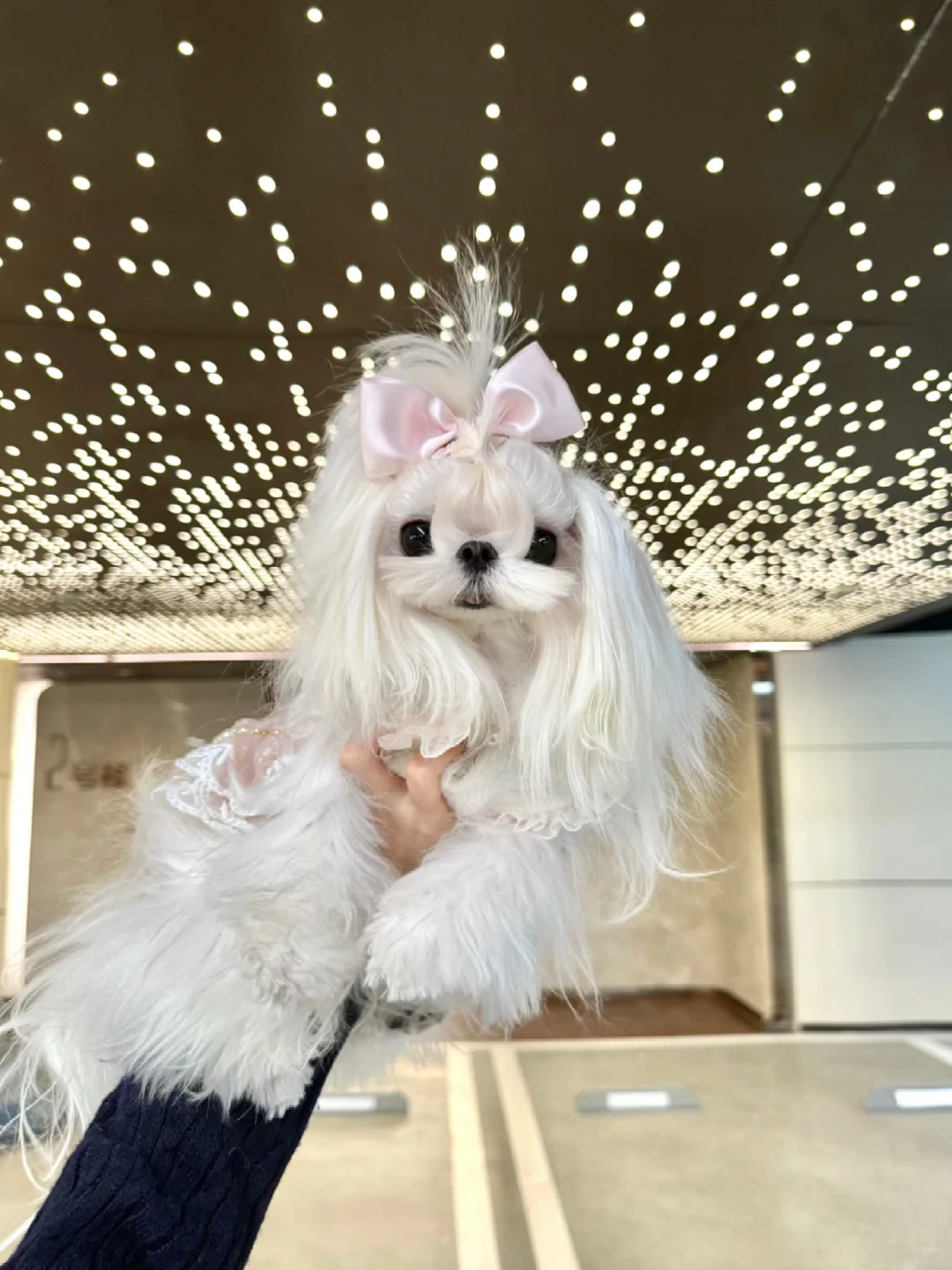 和妈妈来看新房💕马上有自己的房间啦🐶