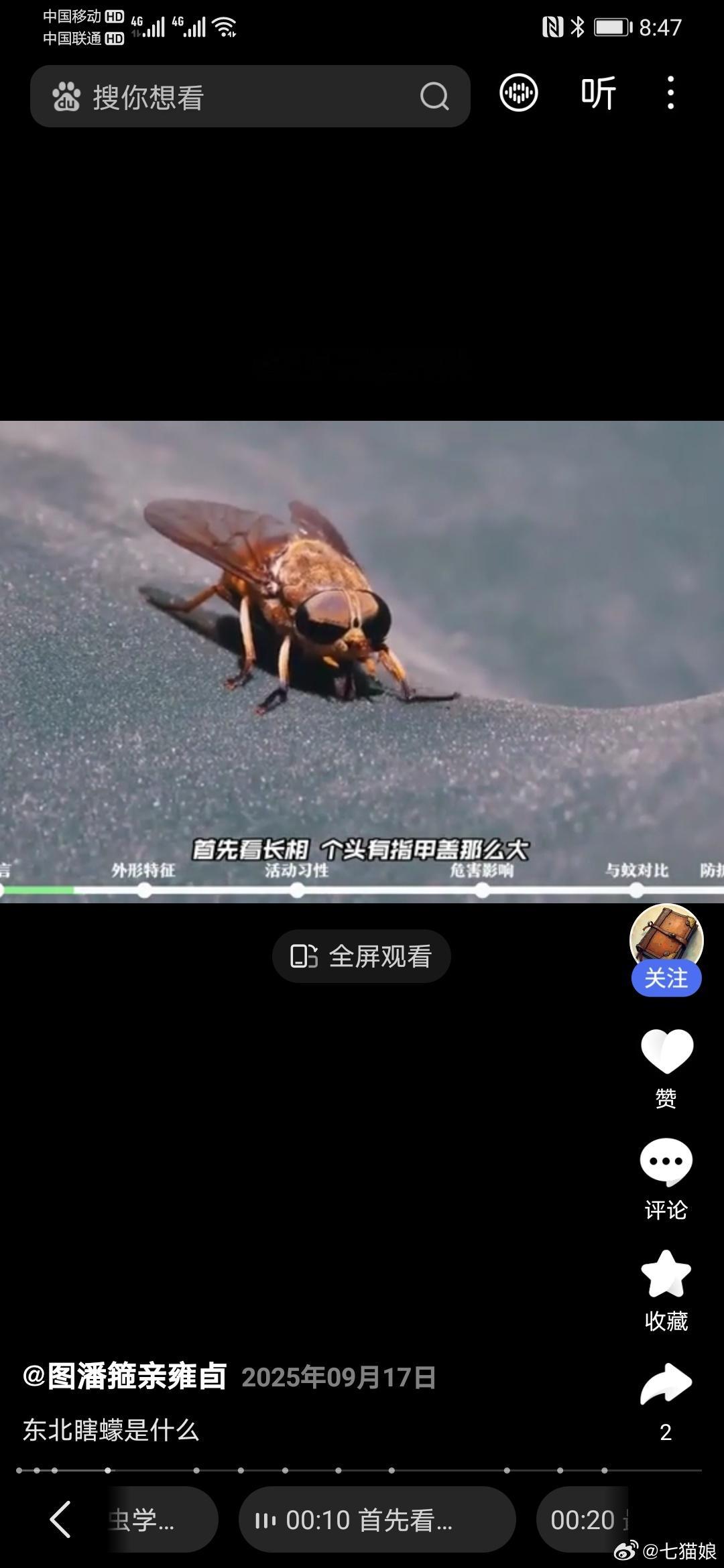 瞎眼蠓原来就是牛虻，见到人嗡嗡的冲过来就叮，现在住的房子挨着河和树林，潮湿闷热，