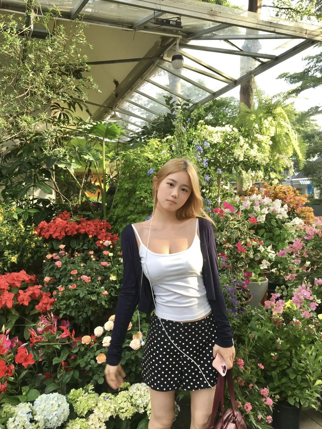 深圳拍照 | 荷兰花卉小镇💐
