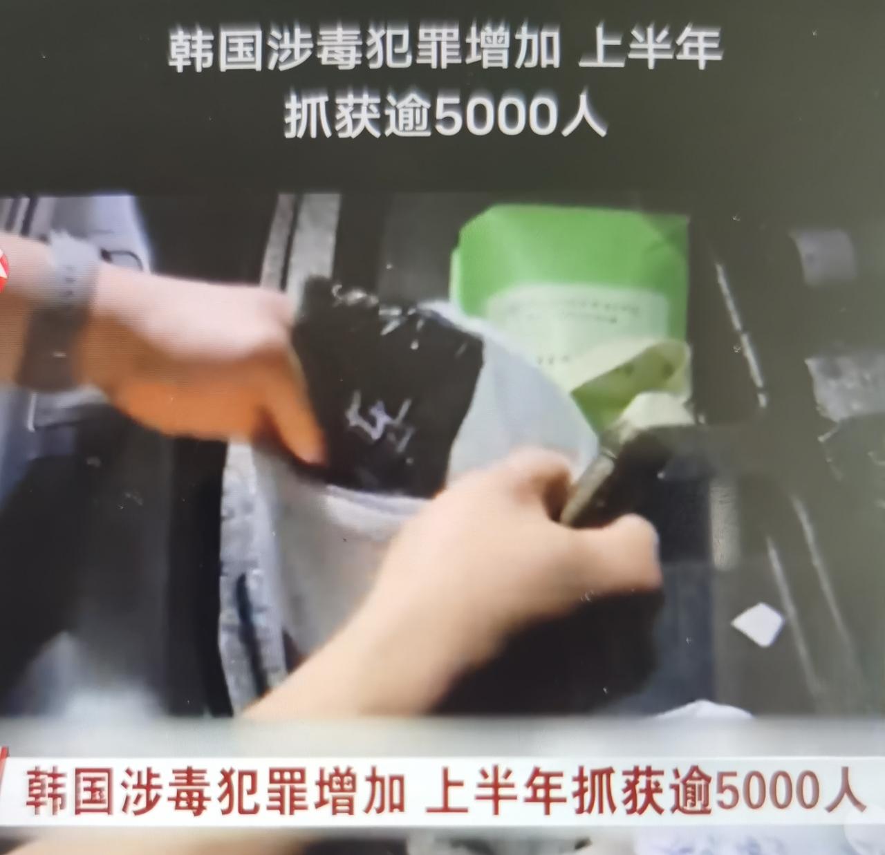 韩国上半年抓获5203名涉毒人员，涉毒犯罪持续走高
 
一、核心事实梳理
 
韩