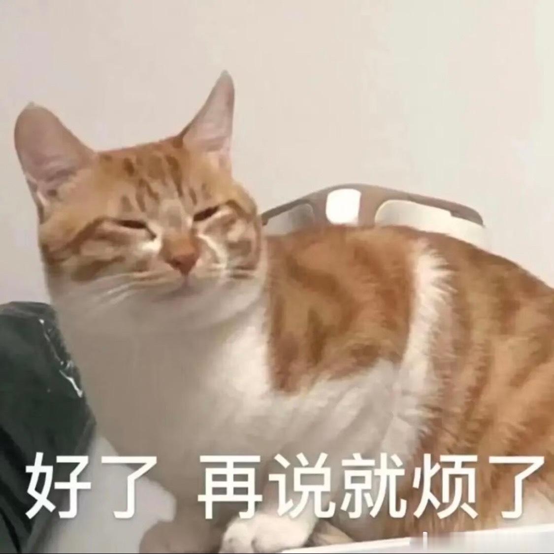 张家齐被正片删掉的那句话找到了🥭的kpi今年指着张家齐一人薅，多了观众也就烦了