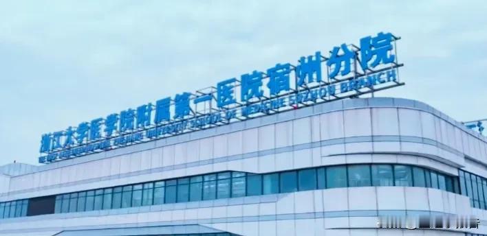 浙江大学医学院附属第一医院为何将分院开到了安徽宿州?
        2025年